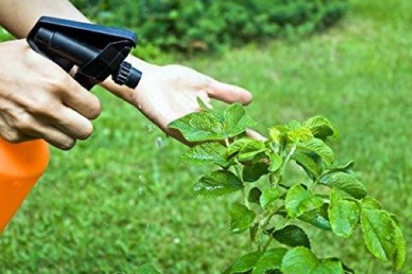 تصویر 2 از فروش کود نانو اوره + قیمت خرید به صرفه